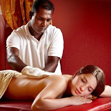 酒店 Ayurveda Sonnhof 蒂尔塞