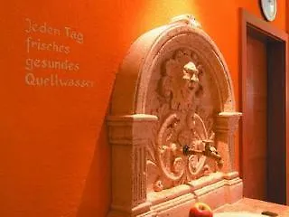 Ayurveda Sonnhof Hotel 4*